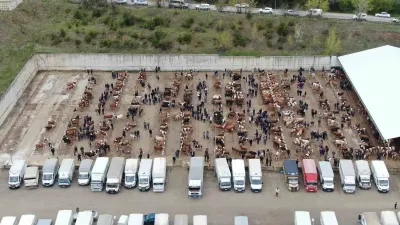 Kastamonu'da Şap Hastalığı Nedeniyle Canlı Hayvan Pazarları Kapatıldı