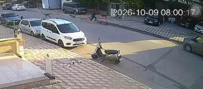 Hatay'da Okul Yolunda Sokak Köpeklerinin Saldırısına Uğrayan 15 Yaşındaki Kız Yaralandı