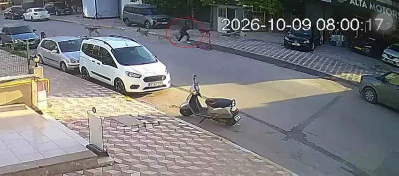 Hatay'da Okul Yolunda Sokak Köpeklerinin Saldırısına Uğrayan 15 Yaşındaki Kız Yaralandı