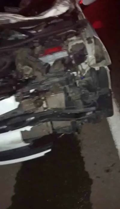 Bingöl Muş Karayolunda İneğe Çarpan Otomobil Kazasında Dört Kişi Yaralandı