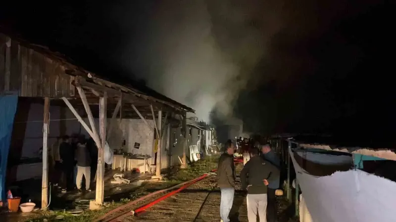 Bursa İnegöl'de Hayvan Çiftliğinde Çıkan Yangın Korkuttu