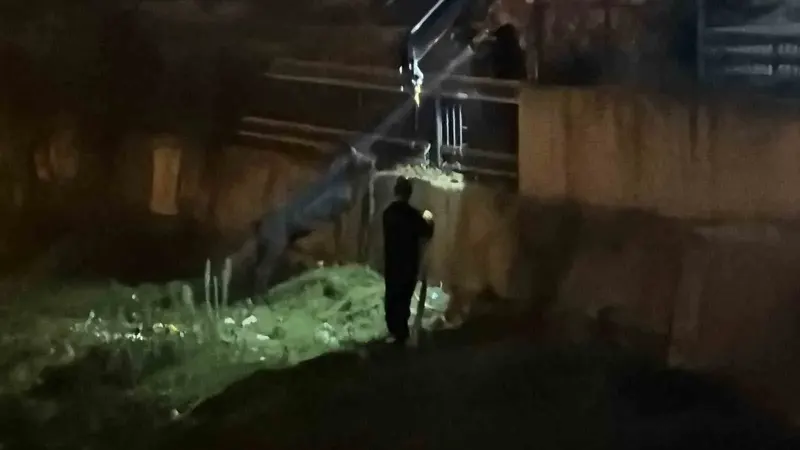 Düzce'de Dereye Düşen Eşek Vinçle Kurtarılmayı Beklerken Sahibine Koştu
