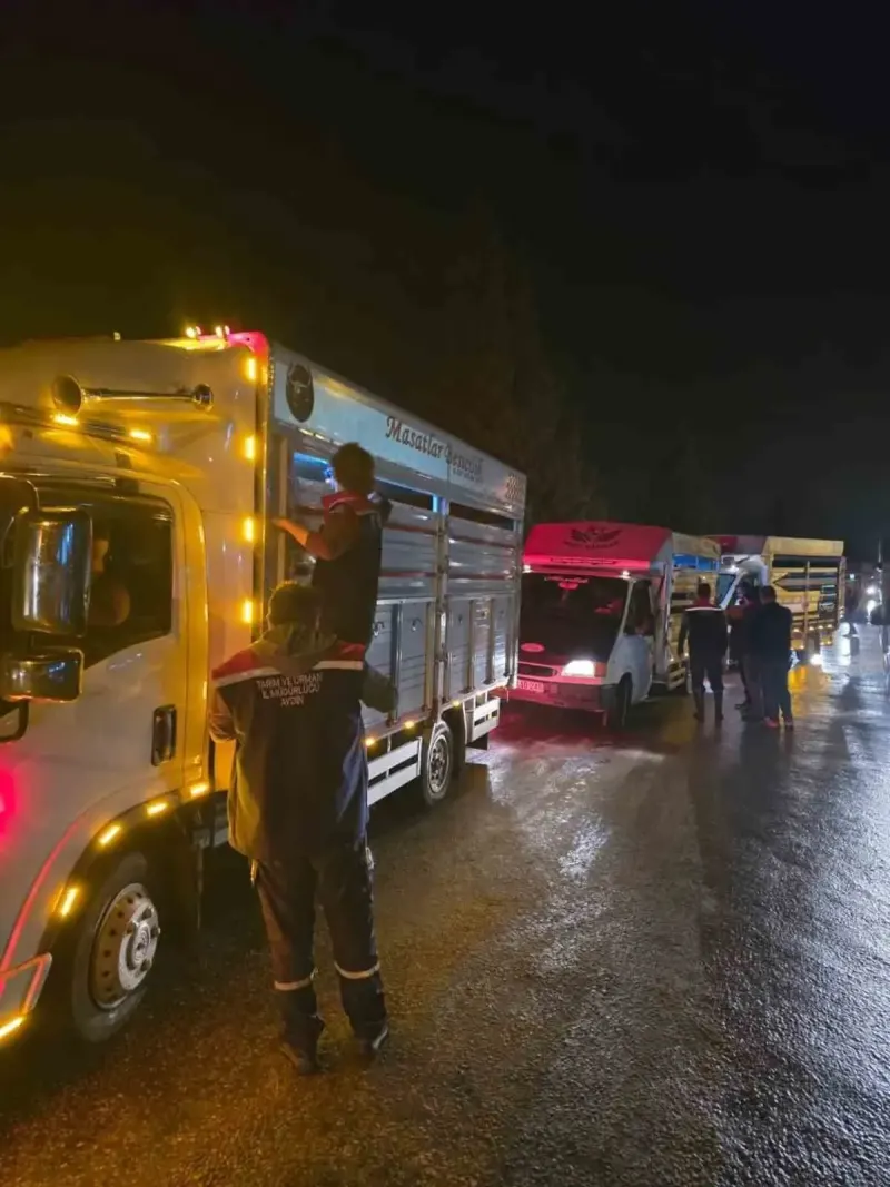 Çine Hayvan Pazarı Sıkı Denetimler Eşliğinde Kapılarını Yeniden Açtı