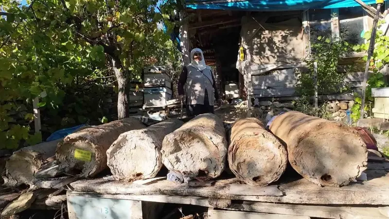 85 Yaşındaki Hatice Orhan Yozgat’ta Karakovan Balı Üretimini Sürdürüyor