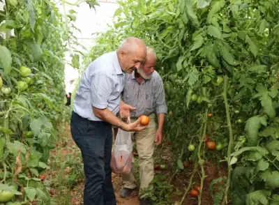 Gebze Belediyesinden Kırsal Kesimdeki Üreticilere Kapsamlı Tarım Desteği