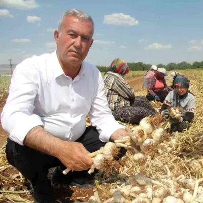 Araban Ziraat Odası Başkanı Hasan Altun'dan Kadın Çiftçiler Günü Kutlaması