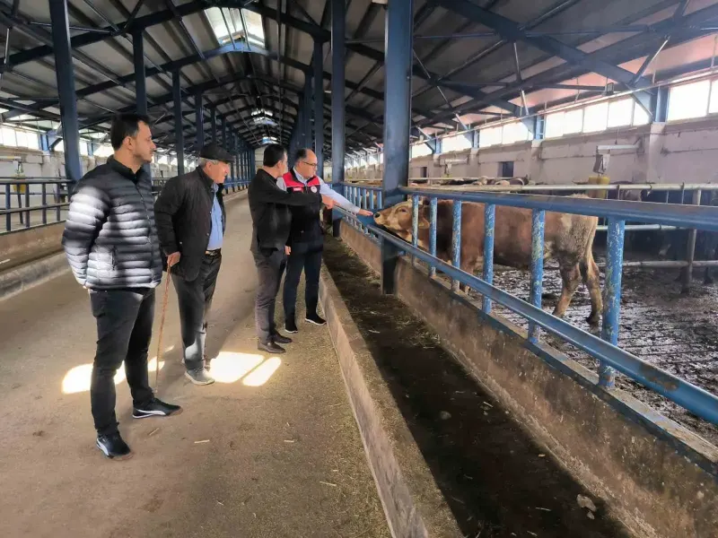 Bayburt'ta Hibe Desteğiyle Kurulan 240 Başlık Hayvancılık Tesisi İncelendi