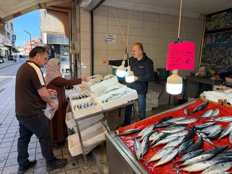 Sinop’ta Palamut Bollaşınca Fiyatı 50 Liraya Kadar Geriledi