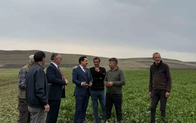 Akyaka Kaymakamı İsmail Demirtaş Şeker Pancarı Hasadında Çiftçilerle Buluştu