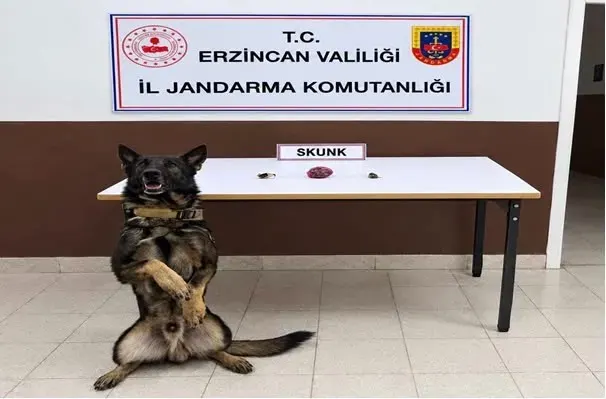 Erzincan'da Düzenlenen Uyuşturucu Operasyonlarında Tonlarca Etkili Madde Yakalandı