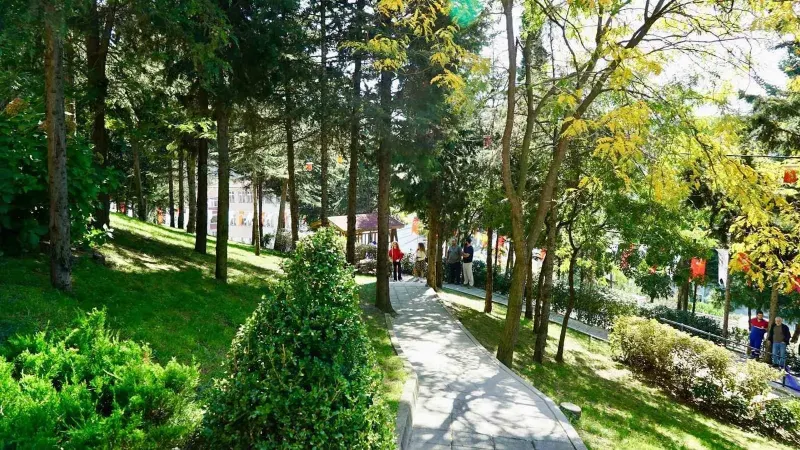 Kağıthane'de Yeni Gültepe Mesire Alanı Vatandaşların Hizmetine Sunuldu