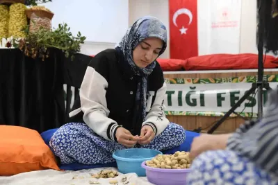 Osmaniye'de Üniversiteli Gençler Fıstık Kırma Yarışmasında Buluştu