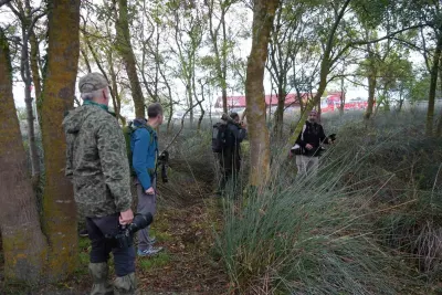 Samsun'da Düzenlenen Doğa Kampında Nadir Görülen Kuş Türleri Kayıt Altına Alındı