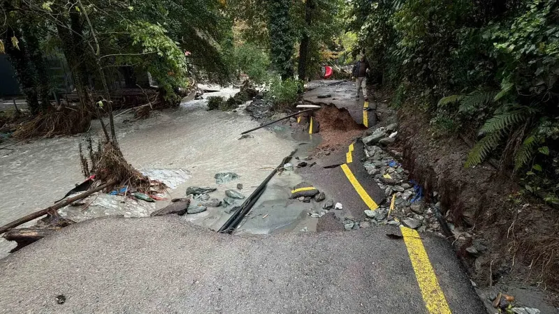 Sakarya Sapanca'da Şiddetli Sel Felaketi Ağaçları ve Direkleri Devirdi