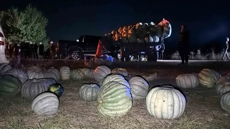 Bolu'da Kabak Yüklü Traktör ile Pikap Çarpıştı: Dört Yaralı