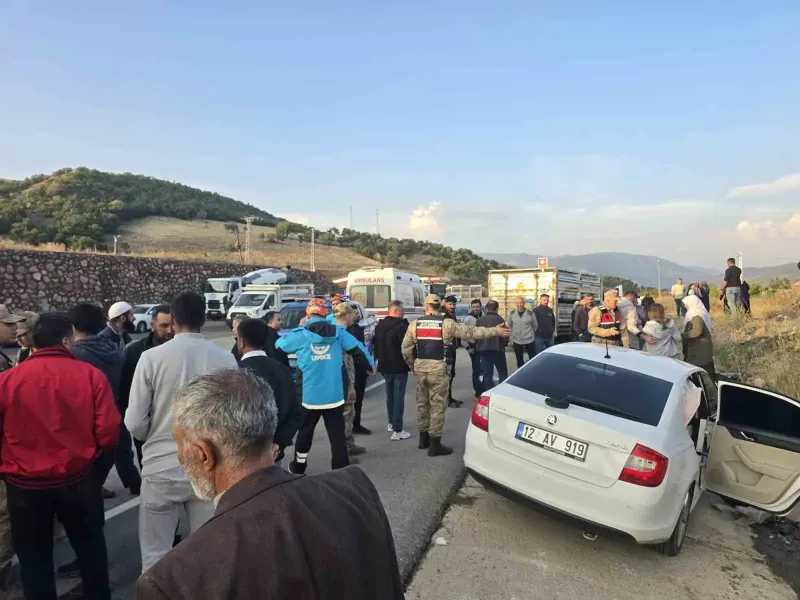Bingöl'de Kontrolden Çıkan Otomobil Devrildi: 3 Yaralı