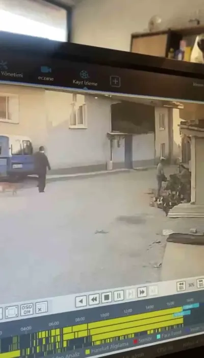 Bursa'da Yaşlı Adamı Motorlu Testereyle Korkutan Kadın Kamerada