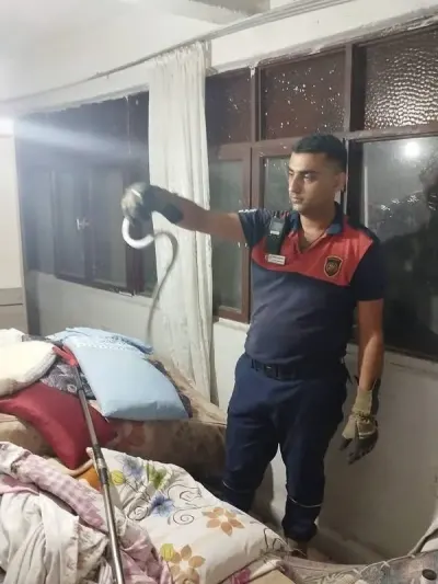 Hatay'da Yerleşim Alanlarına Giren Yılanlar Doğaya Salındı