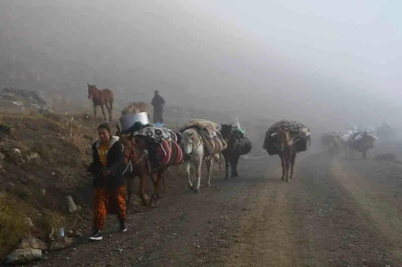 Şırnak Yaylalarında Soğuk Hava Etkisiyle Göç Başladı