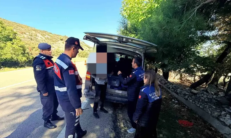 Eğirdir'de Yol Denetiminde Belgesiz Balık Taşımacılığına Ceza
