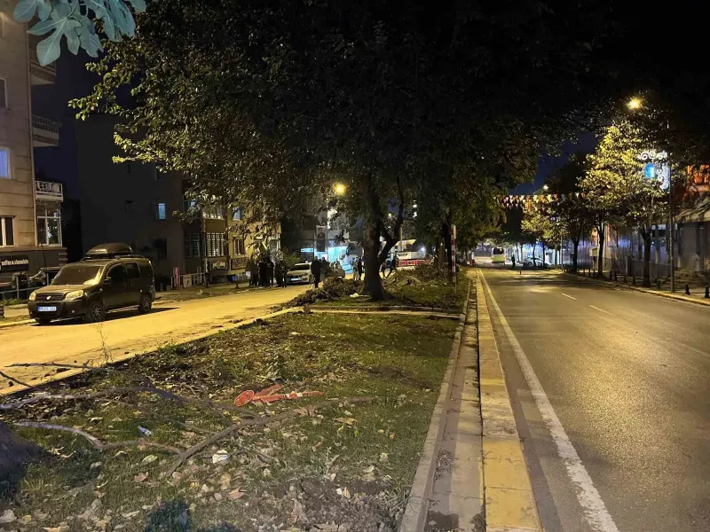 Eyüpsultan’daki Ağaç Kesimi İddiaları Sonrası Vatandaşlardan İBB’ye Tepki