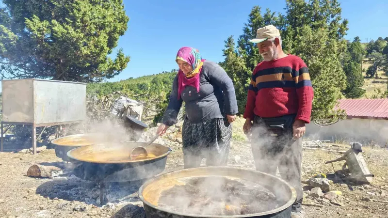 Toroslar’ın Zirvesinde Geleneksel Harnup Pekmezi Mesaisi Başladı