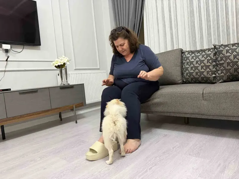 Mardinli Ailenin Satın Aldığı Köpek Beklentilerini Karşılamadı