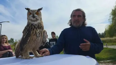 Van Yüzüncü Yıl Üniversitesinde Göçmen Kuşlar Gününde Şahin Doğaya Salındı