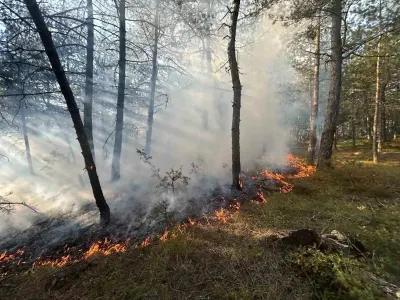 Karabük Eflani'de Çıkan Örtü Yangını Ekiplerin Müdahalesiyle Söndürüldü