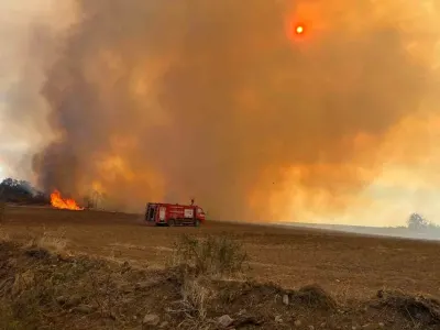 Edirne Lalapaşa'da Anız Yangını Çıktı: Hayvanlar Etkilendi