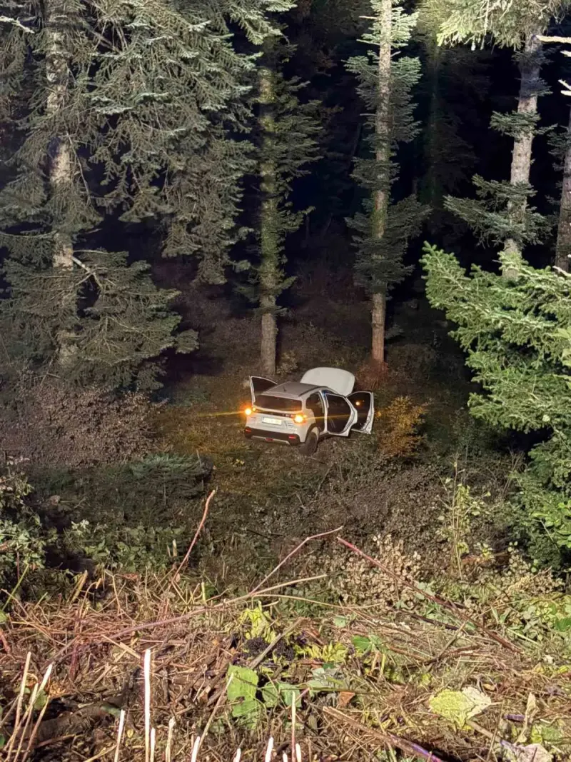 Bolu'da Otomobilin Uçuruma Yuvarlanması Sonucu Dört Kişi Yaralandı