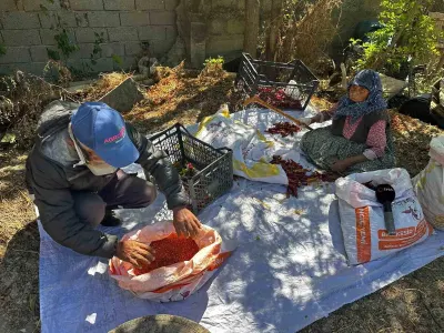 Doksan Yaşındaki Annenin Evlat Sevgisi Acı Biberi Tatlı Kıldı