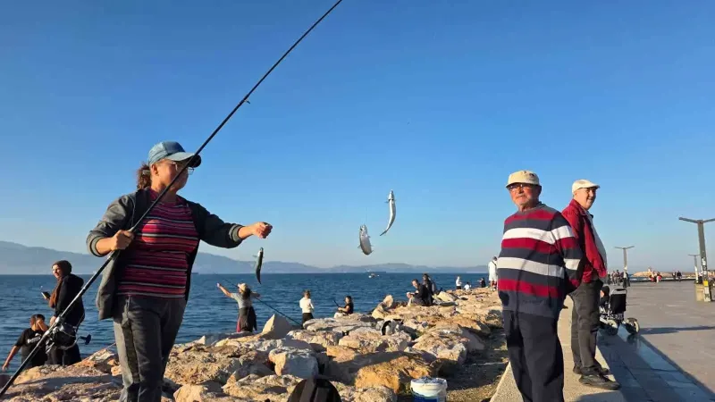 Bandırma Sahilinde Tırsi Balığı Yoğunluğu Yaşandı