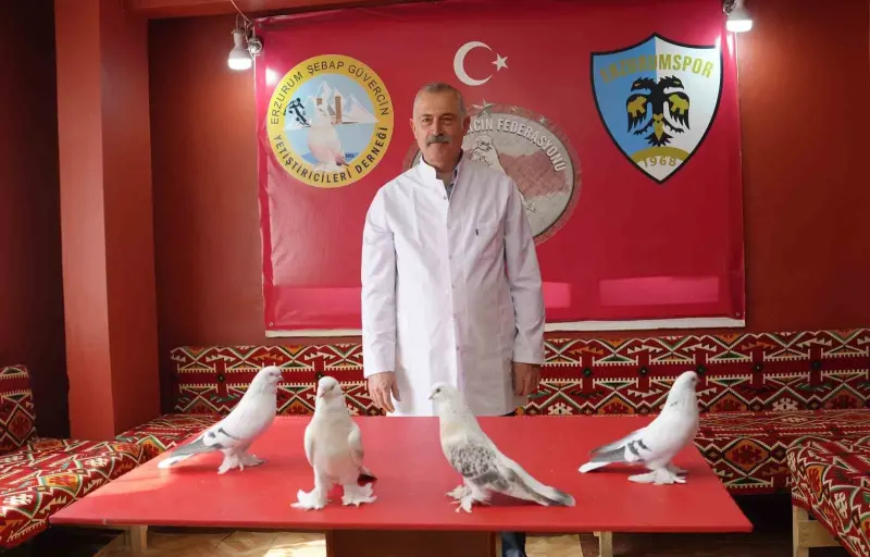 Erzurumlu Emekli Astsubay Güvercinleri İçin 3+1 Ev Kiraladı