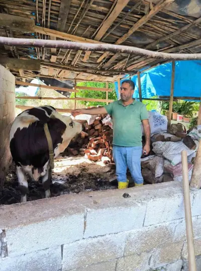 Hatay Genelinde Şap Hastalığına Karşı Aşılama Seferberliği Başlatıldı