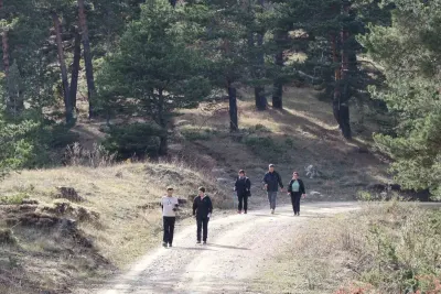 Erzurum'da Sarı̇çam Ormanlarında Yürüyüş Ve Mantar Toplama Etki̇liği̇