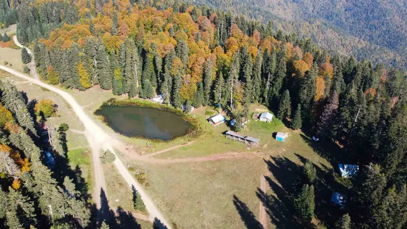 Bolu ve Düzce Sınırındaki Pürenli Yaylası Sonbahar Renkleriyle Büyülüyor