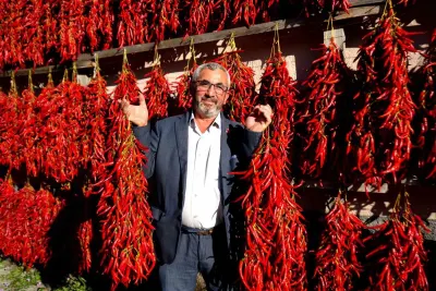 Bilecik'te Ata Tohumu Çukurören Biberi Kurutma Mesaisi Başladı