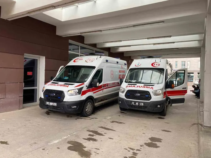 Adıyaman'da Okul Bahçesinde Oyun Oynayan Çocuğu Akrep Soktu