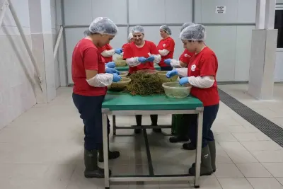 Efeler Belediyesinde Yöresel Ürün Çeşitliliği 63 Lezzete Ulaştı