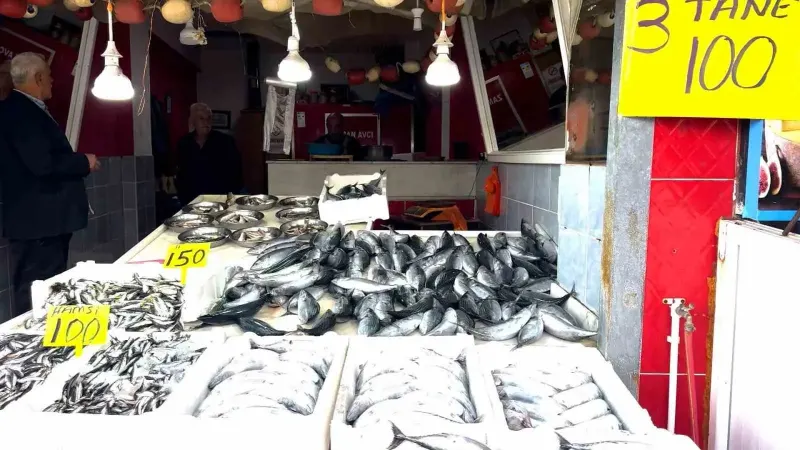 Rize'de Palamut Bolluğu Fiyatları Düşürdü Üç Tane Palamut Yüz Lira Oldu
