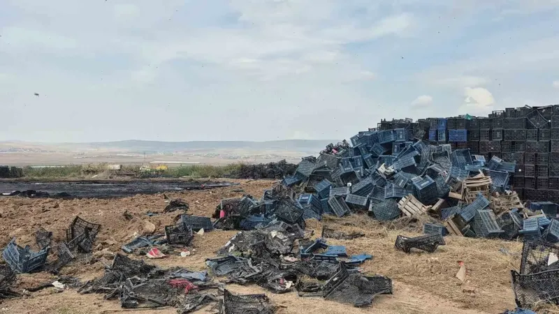 Eskişehir'de Açık Alandaki Plastik Kasalar Alevlere Teslim Oldu