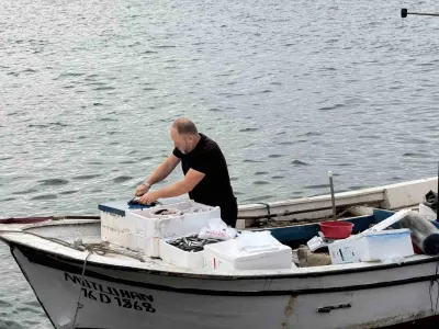 Yalova Armutlu'da Kayıkla Günlük Taze Balık Satışı Tatilcilerin İlgi Odağı Oldu