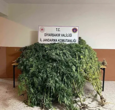 Diyarbakır'da Düzenlenen Narkotik Operasyonunda Çok Miktarda Uyuşturucu Madde Ele Geçirildi