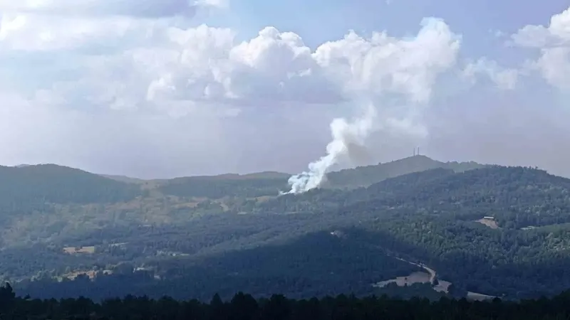 Kütahya'da Otluk Alanda Çıkan ve Ormana Sıçrayan Yangın Söndürüldü