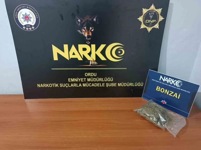 Ordu Fatsa Merkezli Uyuşturucu Operasyonunda Şüpheli Tutuklandı