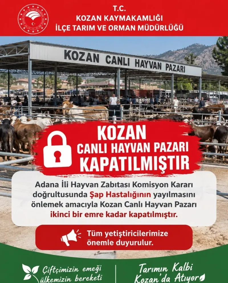Adana'da Canlı Hayvan Pazarı Şap Hastalığı Nedeniyle Kapatıldı