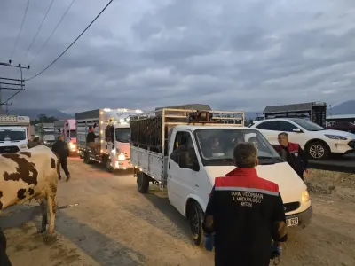 Aydın Nazilli Hayvan Pazarı Yeniden Açıldı Ve Sıkı Denetimler Başladı