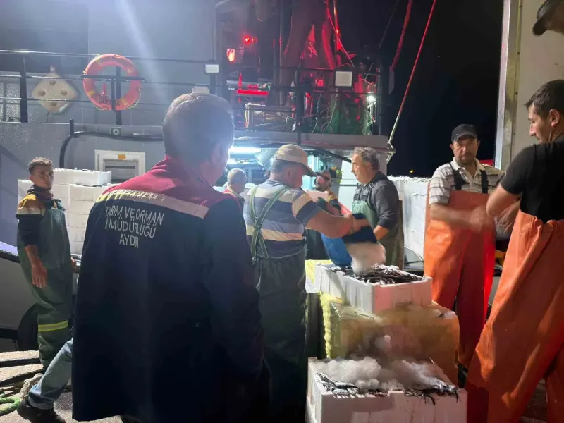 Aydın Didim'de Balıkçı Teknelerine Yönelik Hamsi Kotası Denetimi Gerçekleştirildi