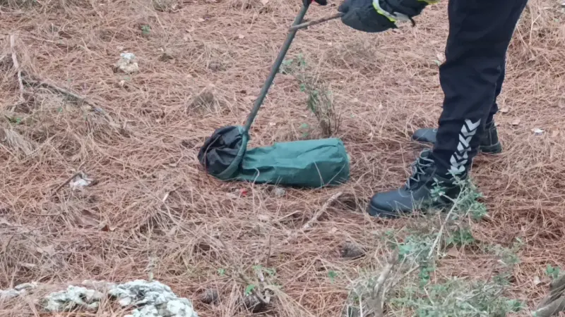 Antalya'da İki Metrelik Kara Yılan Korkuttu